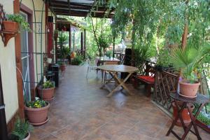 a patio with a table and chairs and plants at Vila VERA in Mahmudia +13 photos