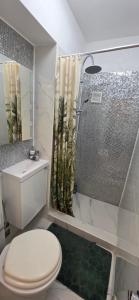 a bathroom with a toilet and a shower at Apartament Victoriei - Centru in Bucharest