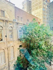 a large tree in front of a building at Per-en in Cairo
