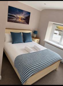 a bedroom with a bed with blue pillows and a window at Grove house Dunleer in Dún Léire