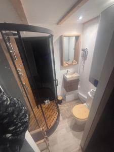 a bathroom with a shower with a toilet and a sink at Le Chalet romantique avec jacuzzi privatif in Lirac