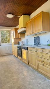a large kitchen with wooden cabinets and appliances at Worker's Dream Apartment in Kirchenlamitz