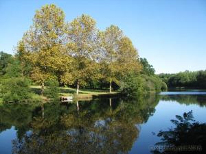 a view of a river with trees and a bridge at Le clos de Tallann in Guénin