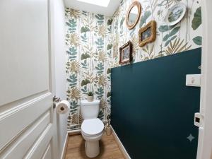a bathroom with a toilet and a green door at Le Chapitre in Châteaumeillant +22 photos