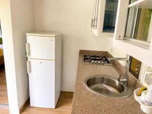 a small kitchen with a sink and a refrigerator at Villas Don Che, 2 villas in Jarabacoa +25 photos