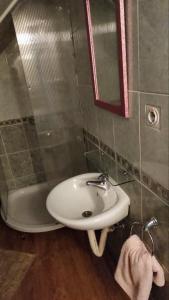 a bathroom with a sink and a mirror and a tub at Vila Olga in Sombor