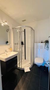 a bathroom with a shower and a sink and a toilet at Mountainview Apartment - Central - Family - Hiking - Lake and Mountains in Schwyz