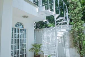 a spiral staircase in a white house with a plant at Villas Aura in Mérida