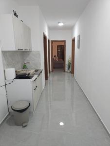a white kitchen with a sink and a toilet at Caci Apartments in Gornji Štoj