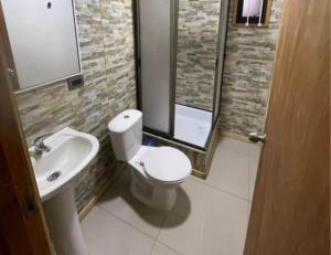a bathroom with a toilet and a sink at Hospedaje Canarias in Pucón