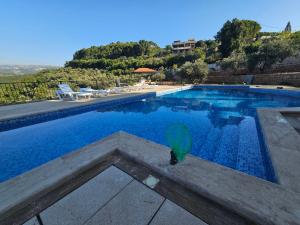 a cat is standing next to a swimming pool at Moufid villa in Al Mīdān +18 photos