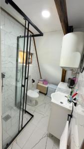 a bathroom with a shower and a toilet and a sink at Vrela Holiday Home in Cetinje +5 photos