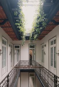 a hallway with a ceiling filled with plants at Maximo Mexico Roma in Mexico City