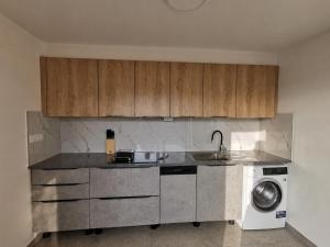 a kitchen with a sink and a washing machine at Camping & Glamping Čenda in Železniki
