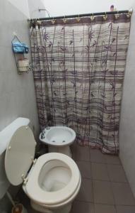 a bathroom with a toilet and a shower curtain at Casa en La Punta in La Punta +13 photos