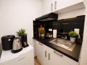 a kitchen with a sink and a counter with plants at Zum Rheinberg City Studio in Braubach
