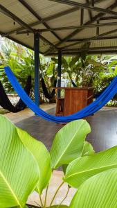 a blue hammock in a pavilion with plants at Nueva Vida Birding Paradise in Puerto Jiménez