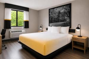 a bedroom with a large bed and two windows at Super 8 by Wyndham Champaign in Champaign