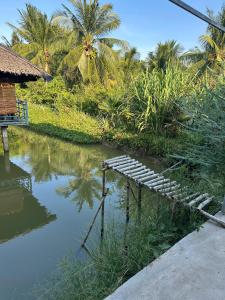a river with a wooden bridge next to a hut at Que Nha Homestay in Ấp Chợ (2)