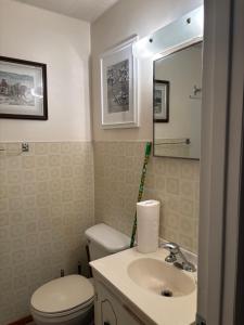 a bathroom with a toilet and a sink and a mirror at Cozy Home in Flin Flon +14 photos