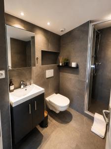 a bathroom with a toilet and a sink and a shower at Chalet Hotel Alpaka in Châtel