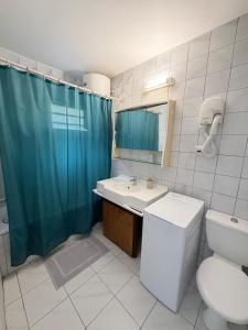 a bathroom with a sink and a toilet and a shower at Aqua vista appartement in Le Marin