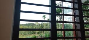 a window with a view of a forest seen through it at Ithal Villa - Home Stay in Wayanad +12 photos