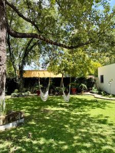 a hammock hanging from a tree in a yard at Quinta Encanto in Santiago Nuevo León in Santiago