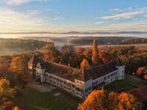 an aerial view of a mansion in the fall at Schloss Welsdorf in Fürstenfeld