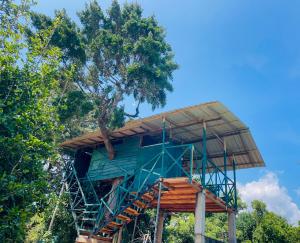 a tree house in the middle of the forest at Green Tree House Yala in Yala