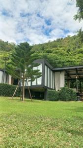 a house with a palm tree in front of it at Naramountainkhaoyai in Ban Tha Chang