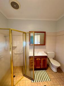 a bathroom with a shower and a sink and a toilet at Backyard Bliss in Waikerie +40 photos