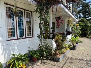 a house with plants on the side of it at Homestay INN in Anachal +26 photos