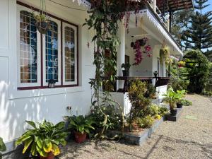 a house with plants on the side of it at Homestay INN in Anachal