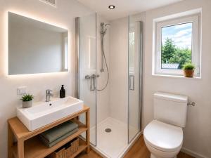 a bathroom with a toilet and a sink and a shower at Hassberge Chalets in Kirchlauter