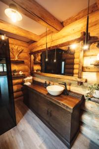 a bathroom with a sink in a log cabin at Casa Di Giorgio in Borsa +68 photos