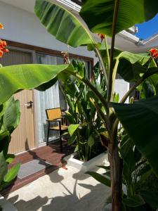 a patio with a plant and a chair at Tranquil Retreat Dhigurah in Dhigurah +23 photos