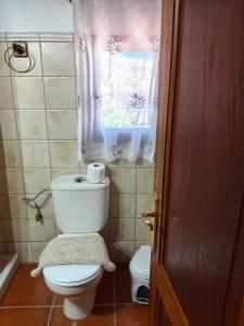 a bathroom with a toilet and a window at Casita Bentayga in Tejeda +19 photos