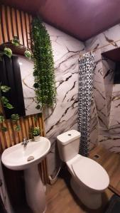 a bathroom with a white toilet and a sink at Cabaña la Valkiria in Falan