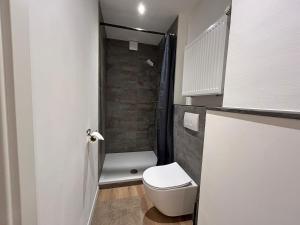 a small bathroom with a toilet and a shower at FeWo - An Fluss und Weinberg in Briedel