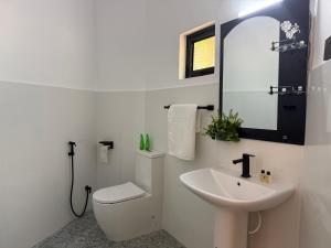 a bathroom with a sink and a toilet and a mirror at Wihara Cottage Sigiriya in Sigiriya +25 photos