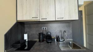 a kitchen counter with a sink and a coffee maker at Studio Precious in Kranevo