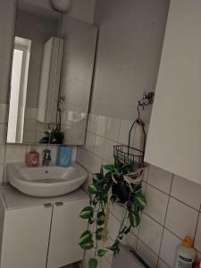 a bathroom with a sink and a potted plant at great apartment in Gothenburg
