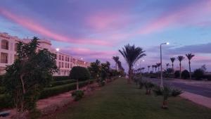 a city street with palm trees and a building at Sharm hills sea view in Sharm El Sheikh
