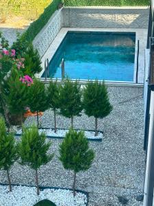 a swimming pool with trees in a yard at Luna in Dalaman