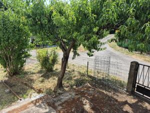 a tree on the side of a road next to a fence at La cabane de Claude in Fougerolles +1 photo