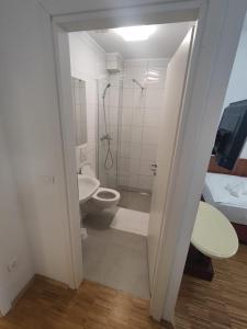 a bathroom with a shower and a toilet and a sink at Hotel Jelena in Brnaze