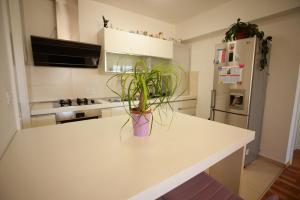 Kuchyň nebo kuchyňský kout v ubytování Base Bridge Apartment - Zadar City Centre - Free parking