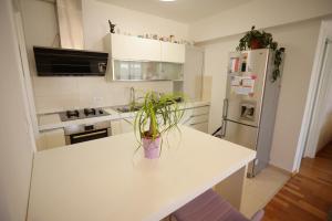 Kuchyň nebo kuchyňský kout v ubytování Base Bridge Apartment - Zadar City Centre - Free parking