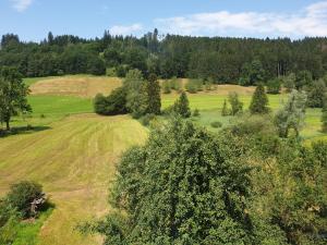 an aerial view of a field with trees and grass at Gasthaus Adler in Wangen im Allgäu